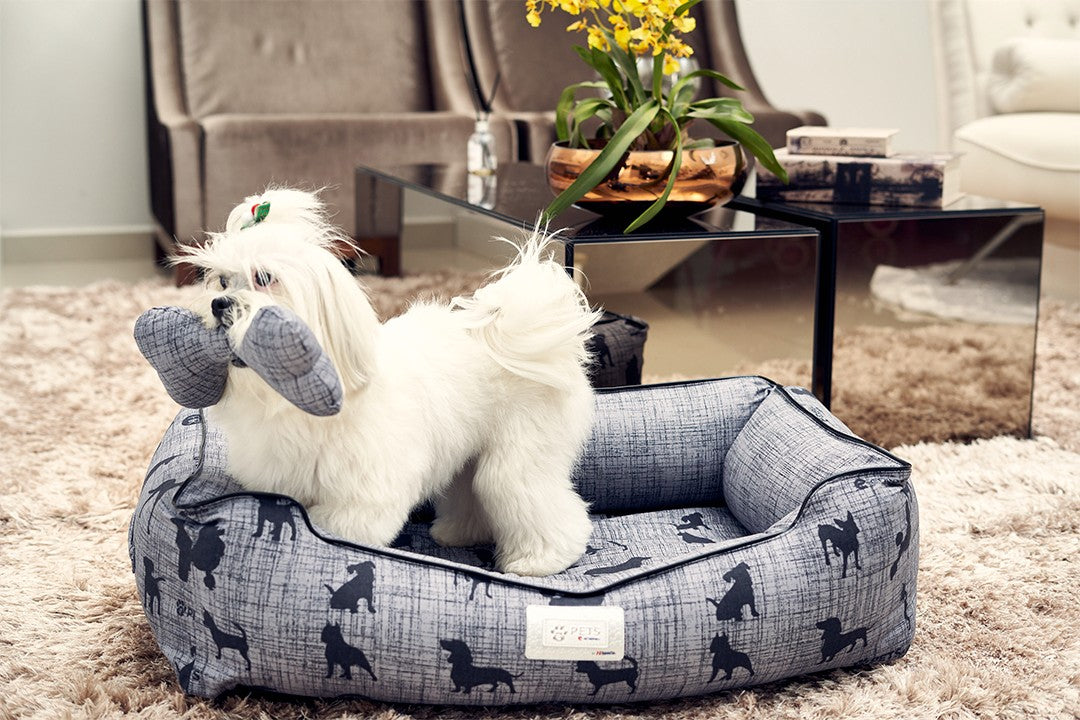 Cama Pet Fir Power